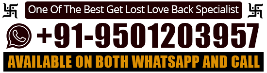 World Famous Astrologer Raj Shastri +91-9501203957